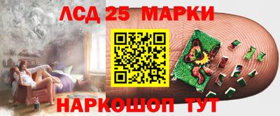 гашик Нальчик