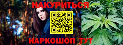 гашик Нальчик