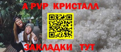 гашик Нальчик