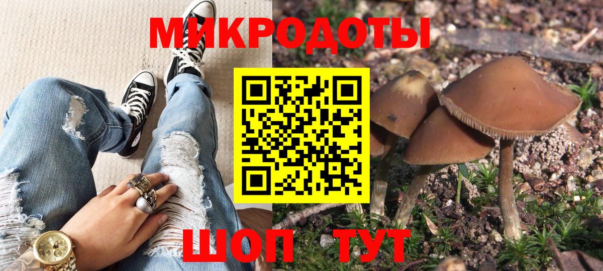 Галлюциногенные грибы мухоморы  Вход с VPN  Галлюциногенные грибы Psilocybe  Гагарин 